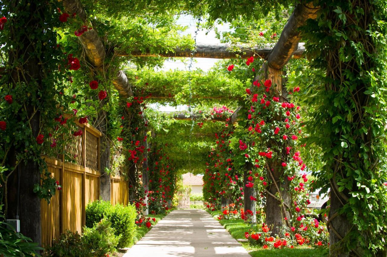 South Coast Winery Resort & Spa Temecula Zewnętrze zdjęcie